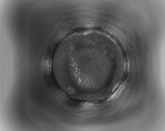 X0000093620180200710151308