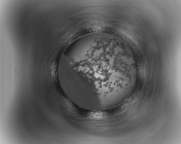 X0000093620181200710151308