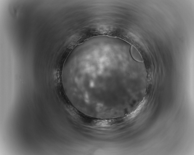 X0000093620182200710151308