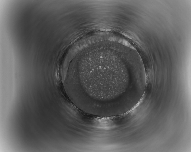 X0000093620186200710151308