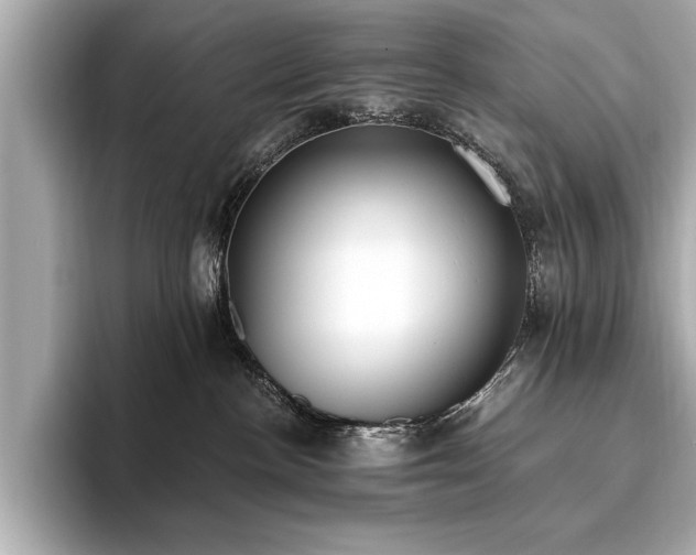 X0000093620188200710151308