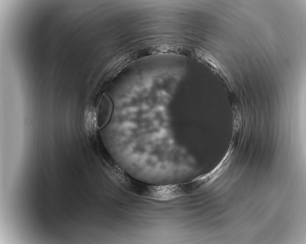 X0000093620191200710151308