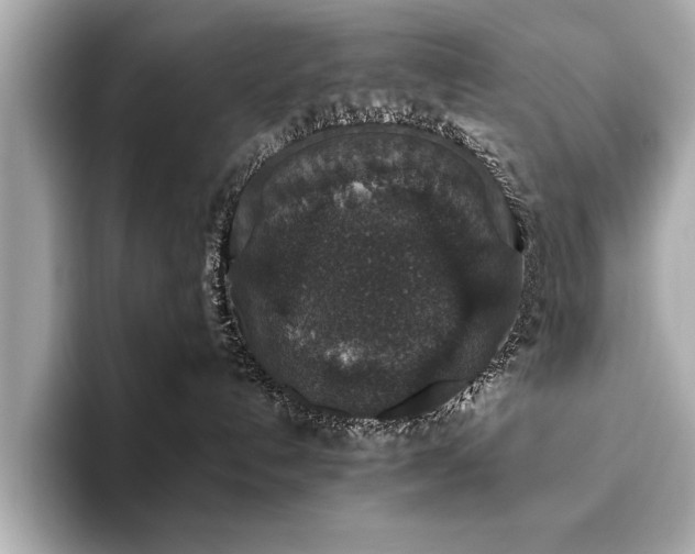 X0000093620192200710151308