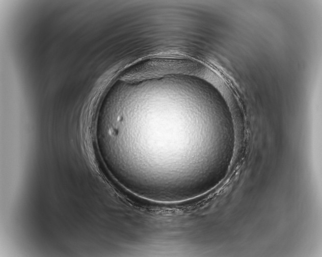 X0000093620193200710151307