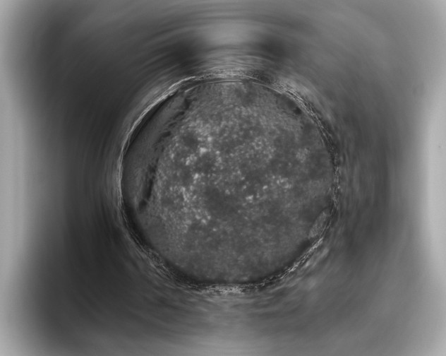 X0000093620194200710151307