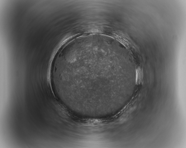 X0000093620195200710151307