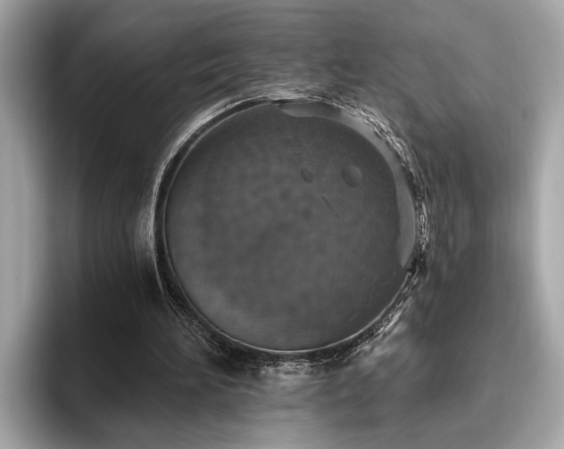 X0000093620196200710151307