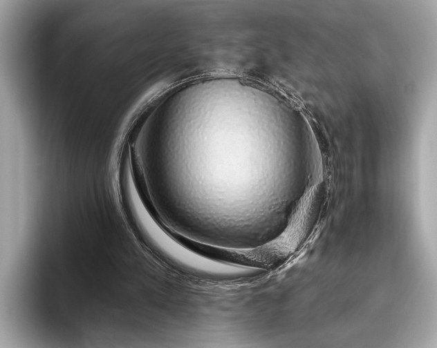 X0000093620197200710151307