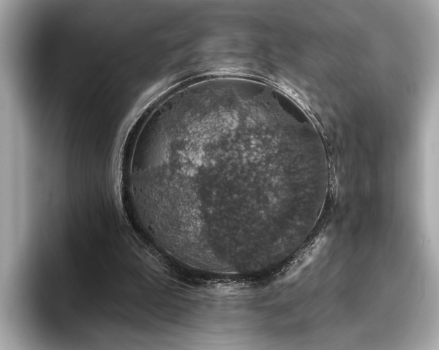 X0000093620199200710151307