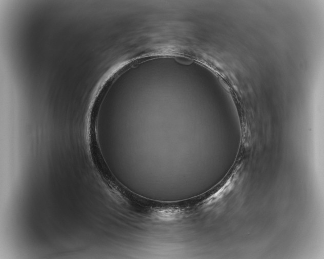 X0000093620200200710151307