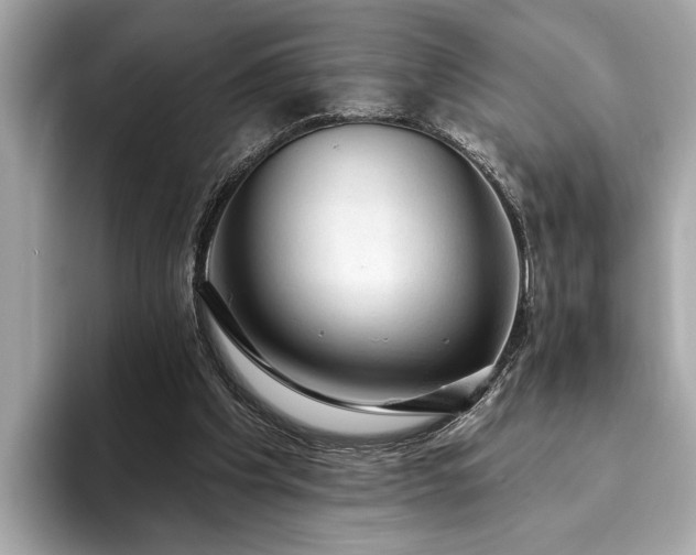 X0000093620201200710151307
