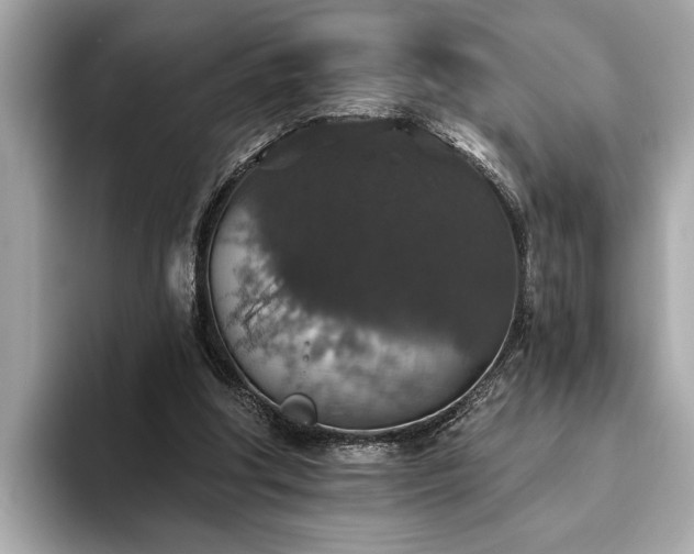 X0000093620202200710151307