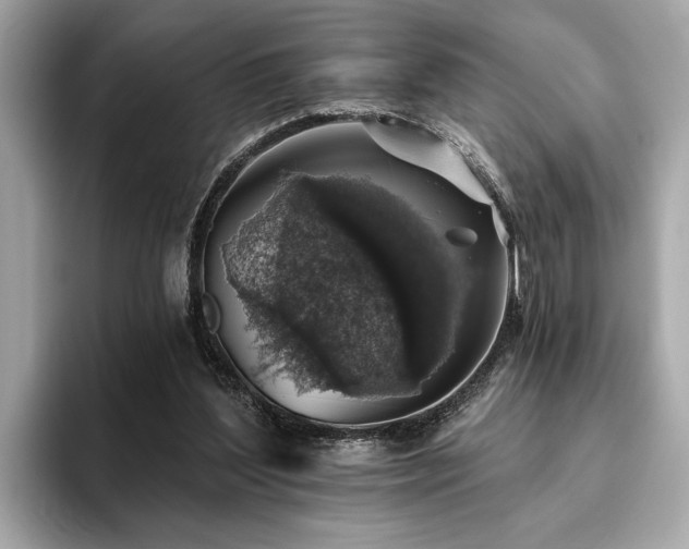 X0000093620204200710151307
