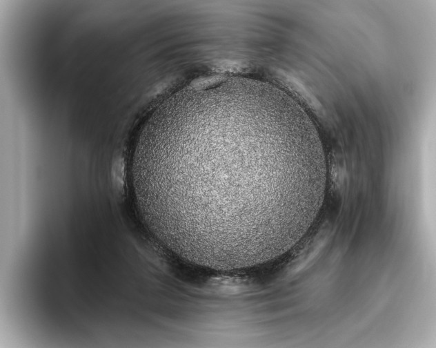 X0000093620211200710151307