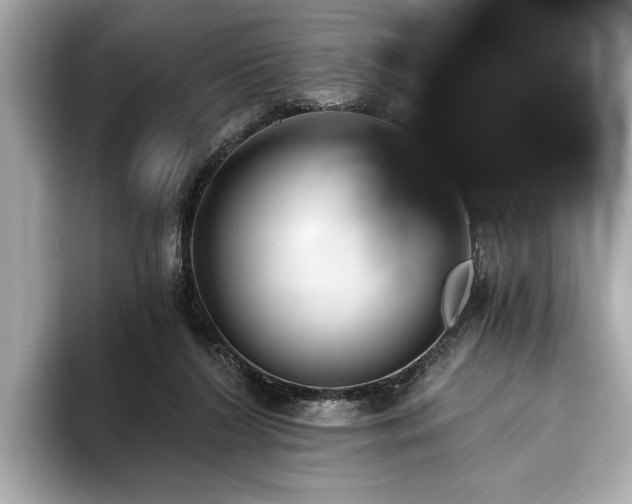 X0000093620212200710151307