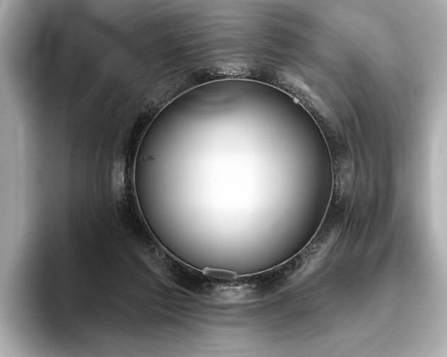 X0000093620213200710151307