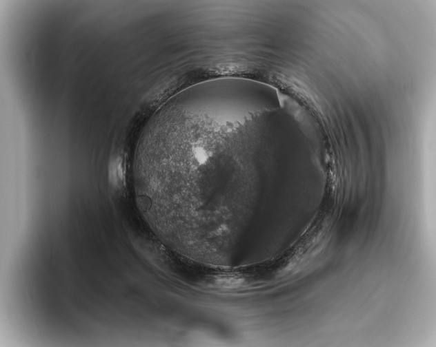 X0000093620214200710151307
