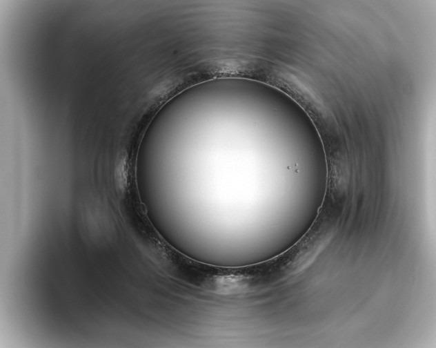 X0000093620216200710151307