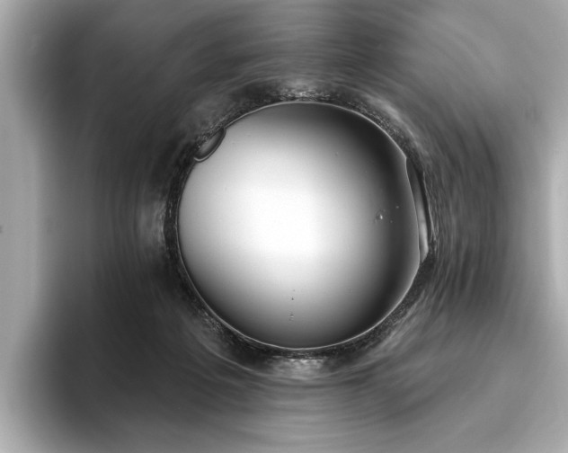 X0000093620217200710151307
