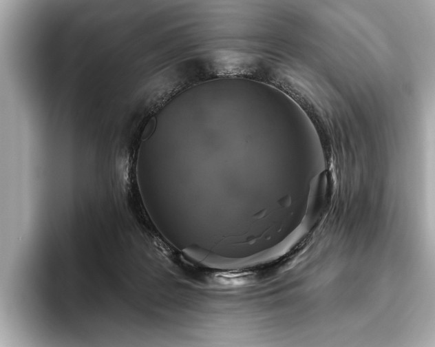 X0000093620219200710151307
