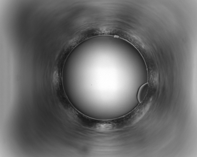 X0000093620220200710151307