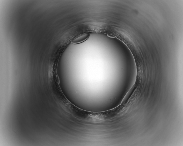 X0000093620221200710151307