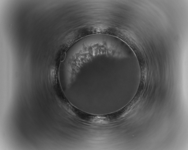 X0000093620222200710151307
