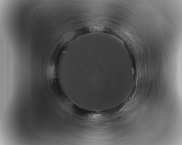 X0000093620224200710151307