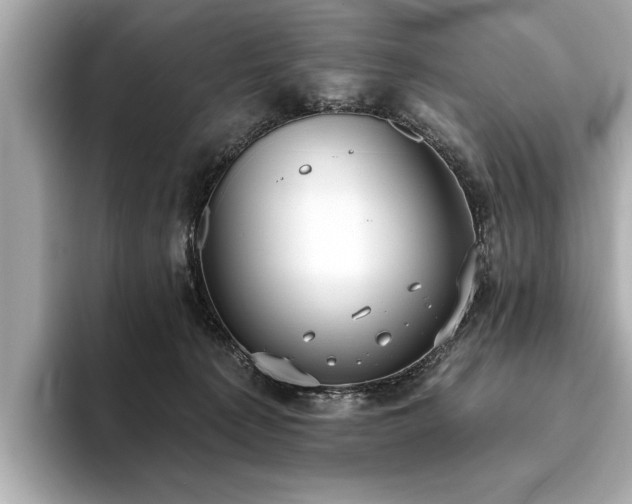 X0000093620225200710151307