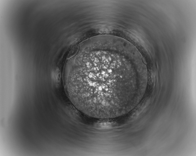 X0000093620228200710151307