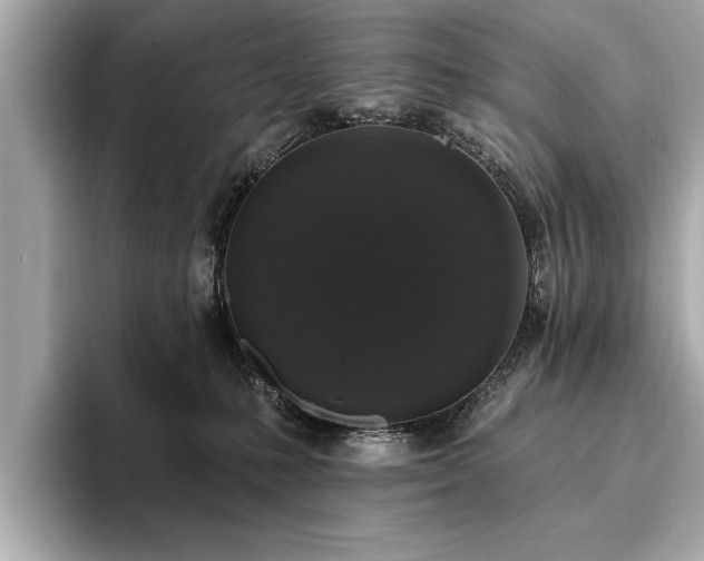 X0000093620231200710151307