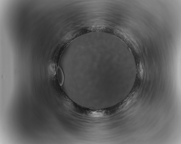 X0000093620232200710151307