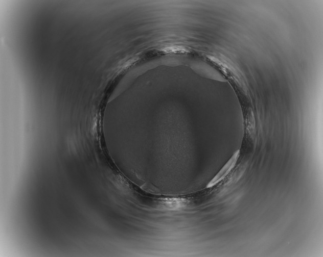X0000093620233200710151307