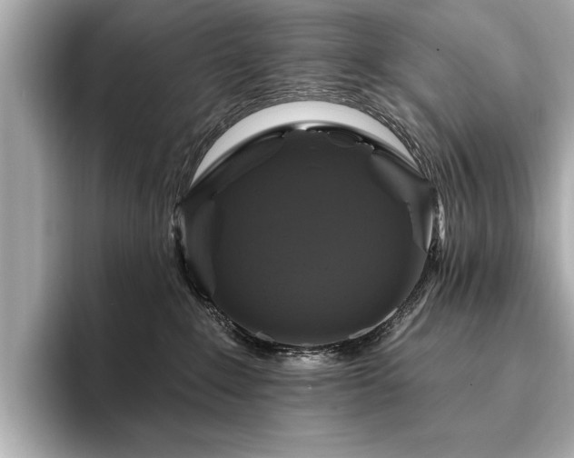 X0000093620235200710151307