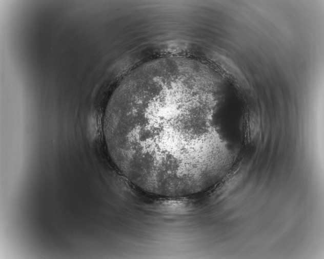X0000093620236200710151307