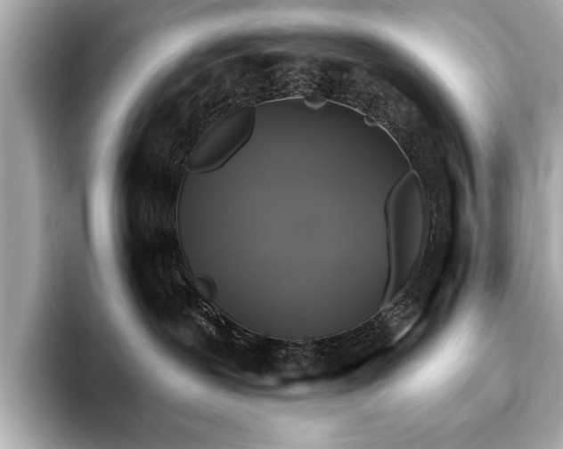 X0000093620239200710151307