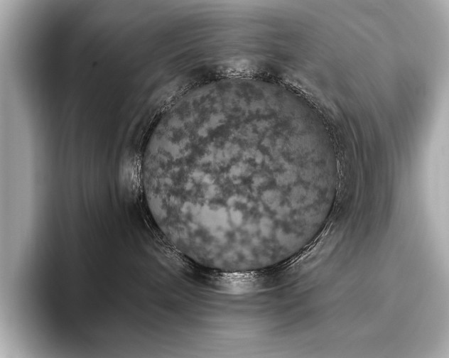 X0000093620240200710151307