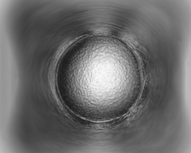 X0000093620241200710151306