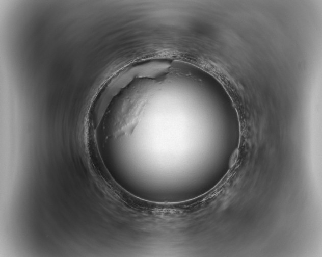 X0000093620242200710151306