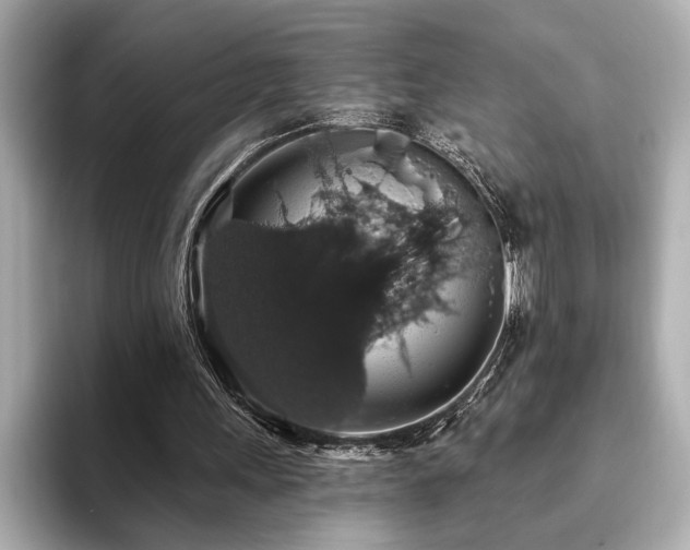X0000093620243200710151306