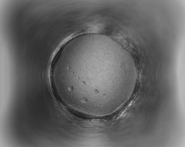 X0000093620244200710151306
