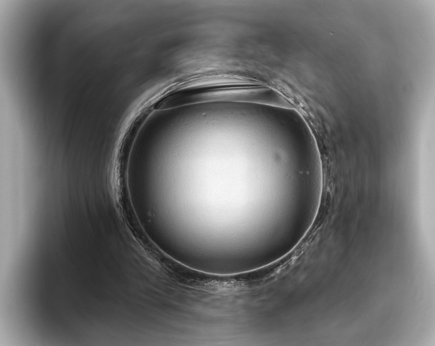 X0000093620245200710151306