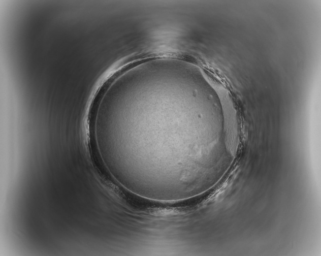 X0000093620246200710151306
