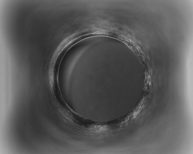 X0000093620247200710151306