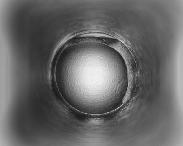 X0000093620248200710151306