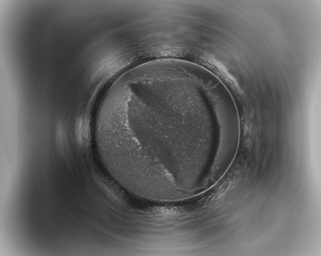 X0000093620250200710151306