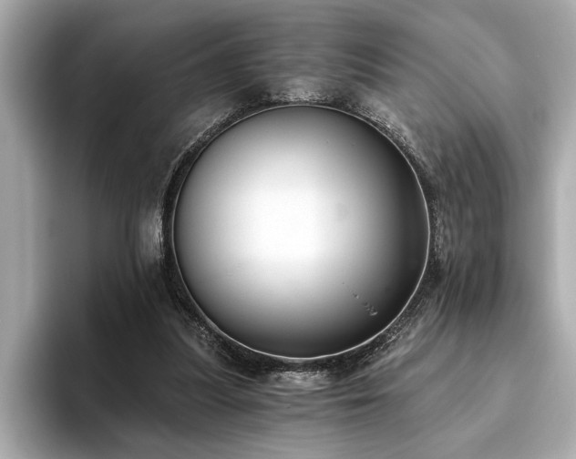 X0000093620251200710151306