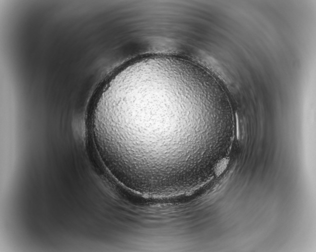 X0000093620252200710151306