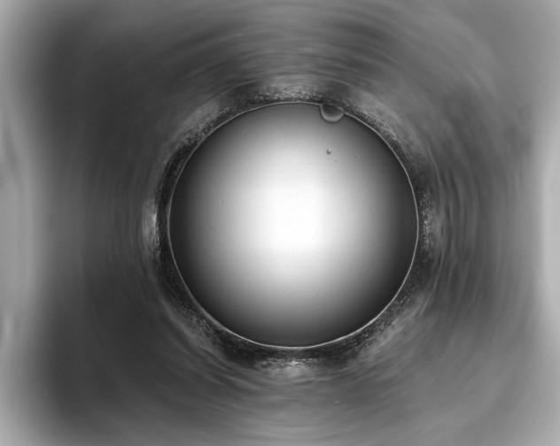 X0000093620254200710151306