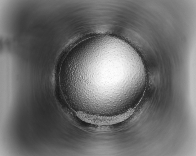 X0000093620256200710151306
